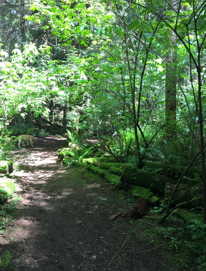 DailyShots-0518-20-2