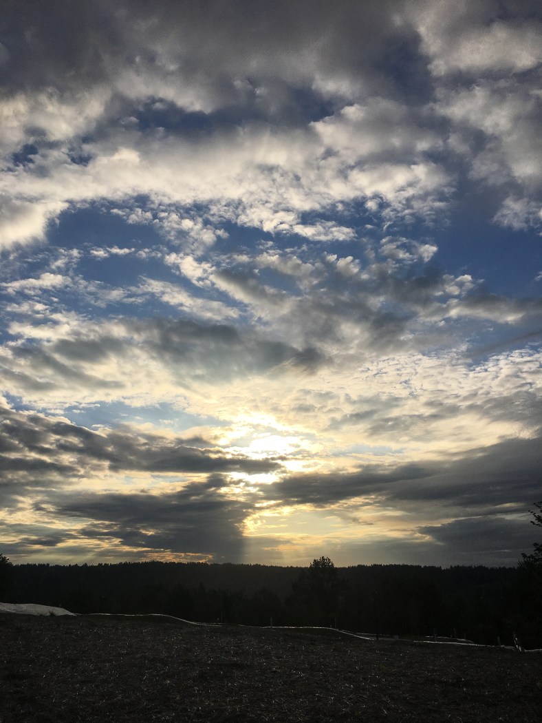 DailyShots-0518-20-3