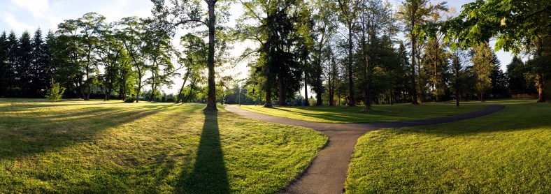 KirklandPark_pano-061219